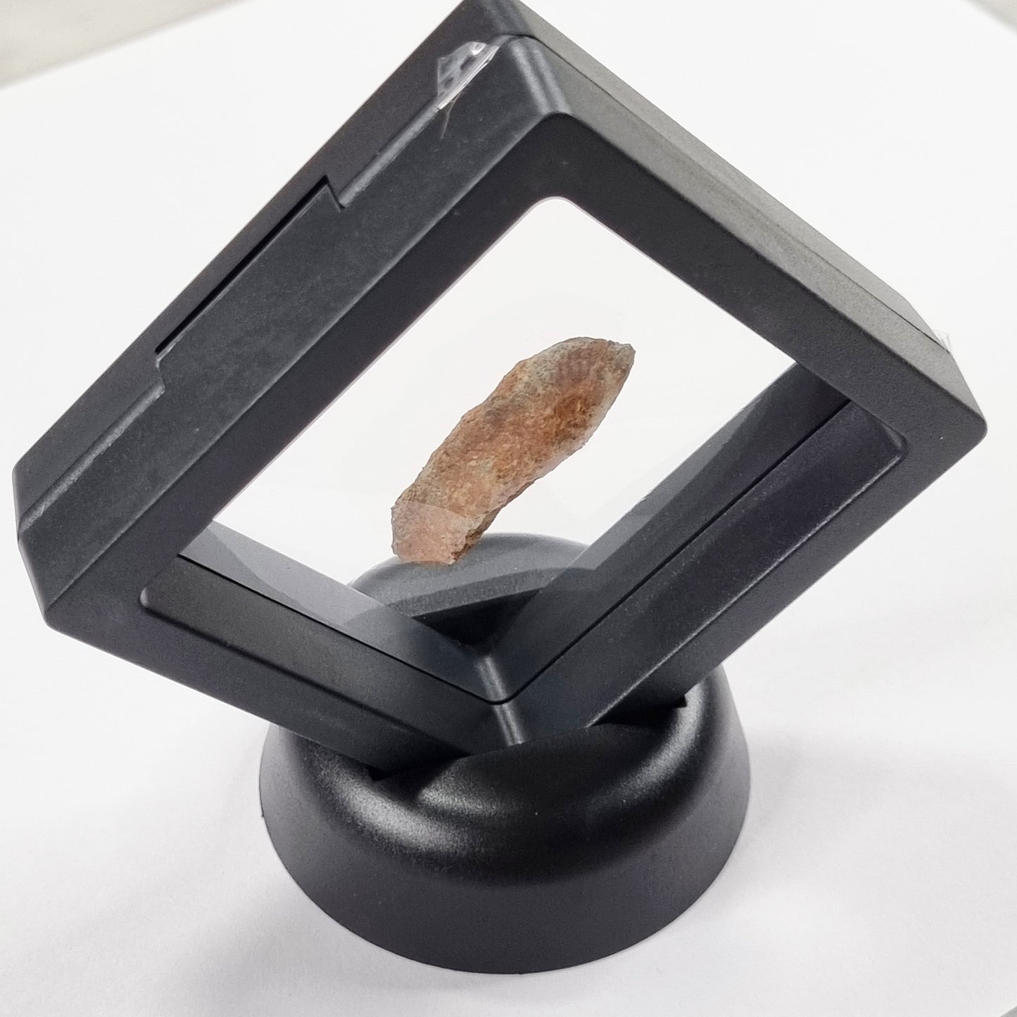 Lunar Meteorite- Rare (3cm)