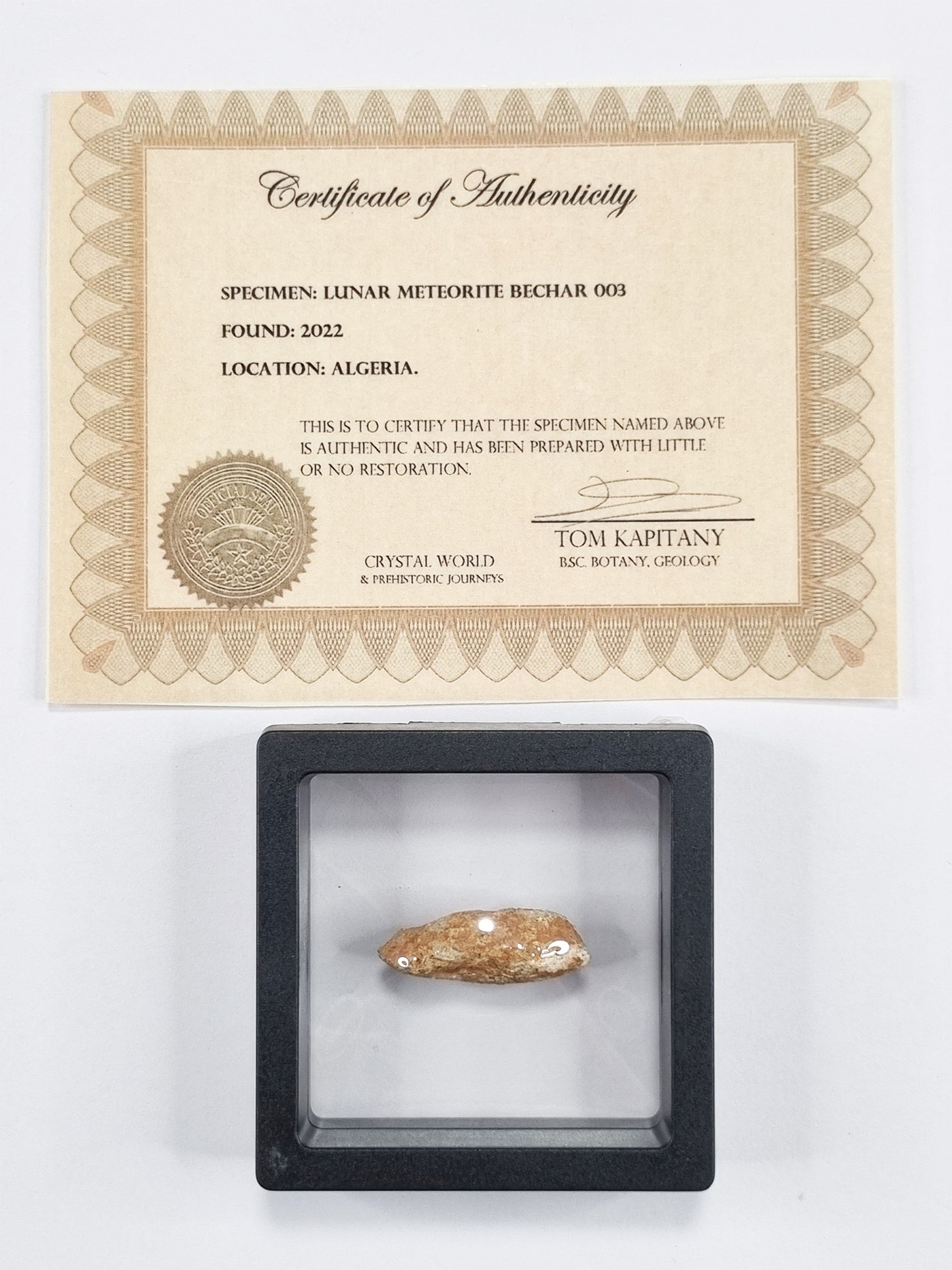 Lunar Meteorite- Rare (3cm)