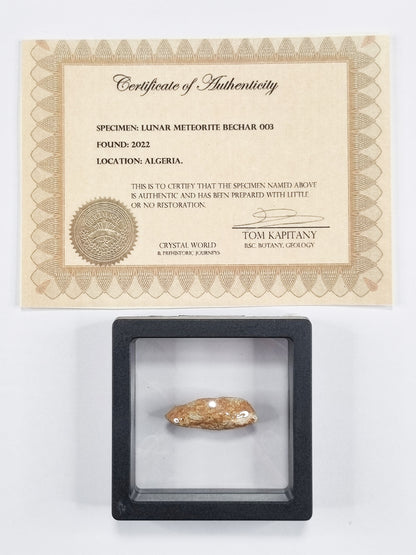 Lunar Meteorite- Rare (3cm)