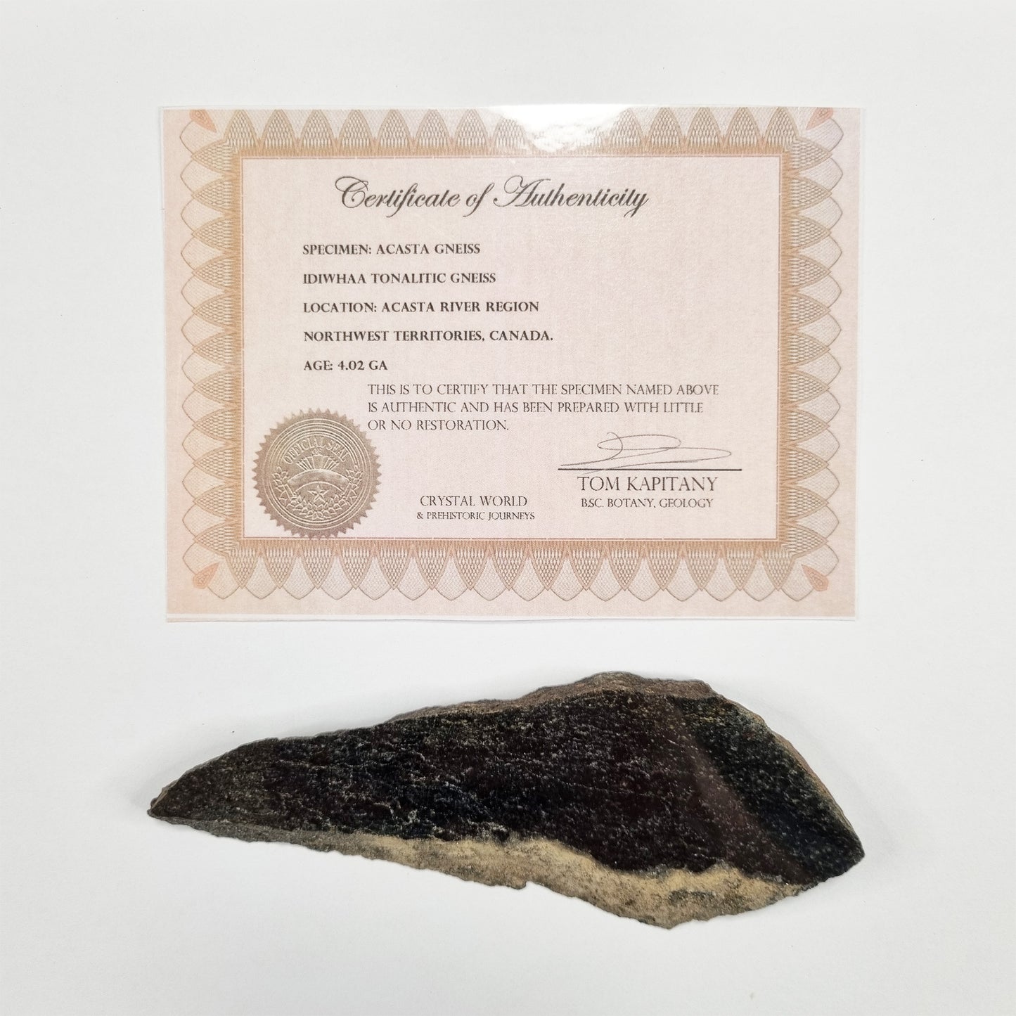 Idiwhaa Tonalitic Acasta Gneiss- Meteorite Impact Melt 100g (4 Billion Years Old)