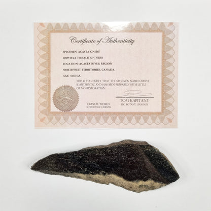 Idiwhaa Tonalitic Acasta Gneiss- Meteorite Impact Melt 100g (4 Billion Years Old)