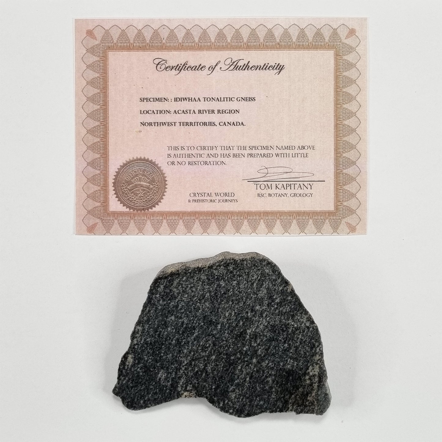 Idiwhaa Tonalitic Acasta Gneiss- Meteorite Impact Melt (Canada- 4 Billion Years Old) 179g