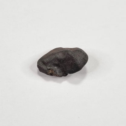 Wiluna Meteorite (Western Australia- 1967) 12g