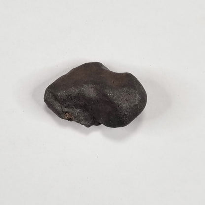 Wiluna Meteorite (Western Australia- 1967) 12g