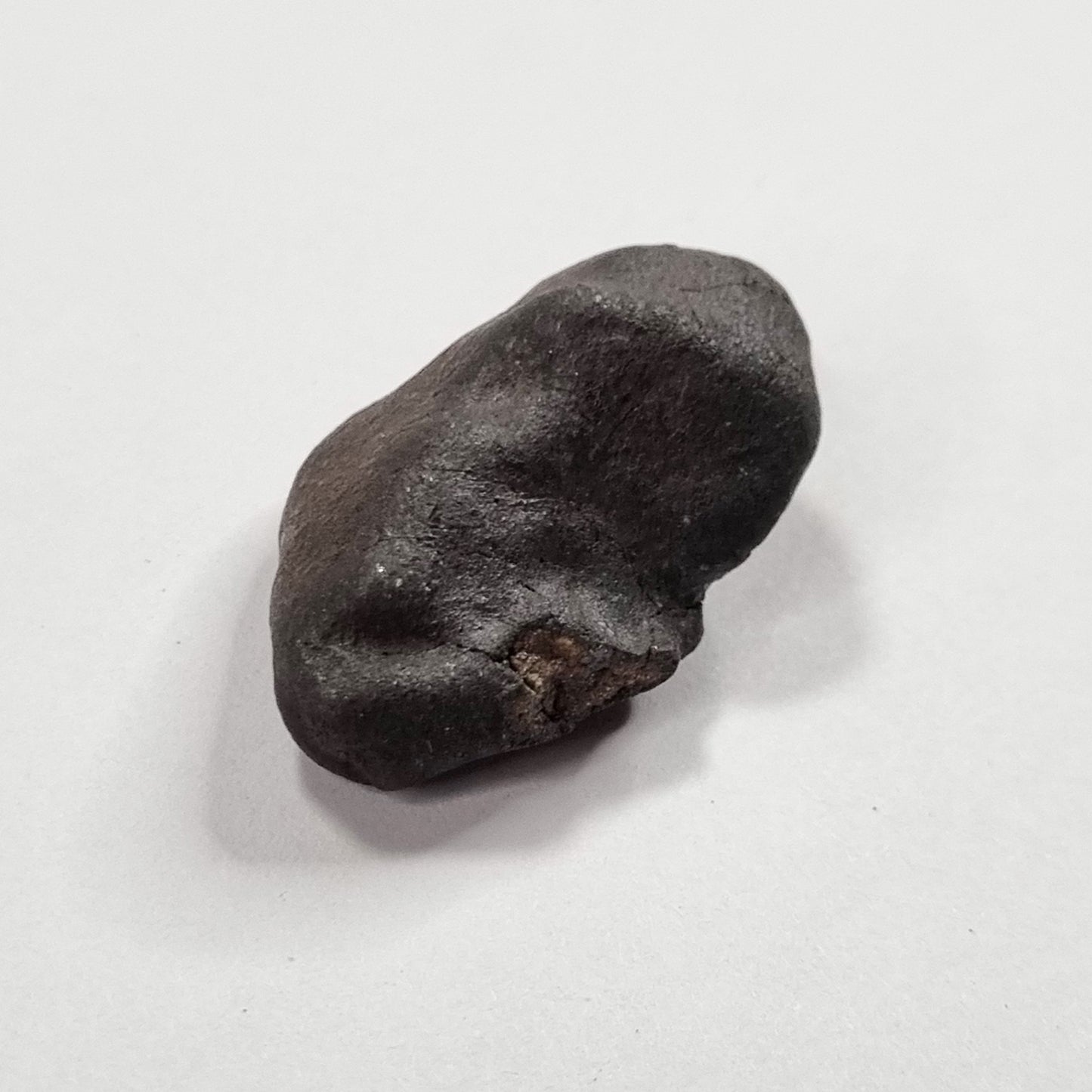 Wiluna Meteorite (Western Australia- 1967) 12g