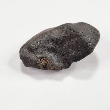 Wiluna Meteorite (Western Australia- 1967) 12g