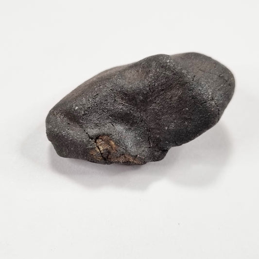Wiluna Meteorite (Western Australia- 1967) 12g