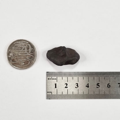 Wiluna Meteorite (Western Australia- 1967) 12g
