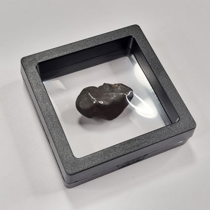 Wiluna Meteorite (Western Australia- 1967) 12g