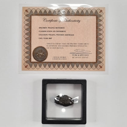 Wiluna Meteorite (Western Australia- 1967) 12g