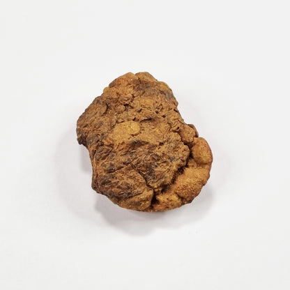 Wolf Creek Shale Ball Meteorite (Western Australia-1947) 66g