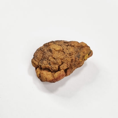 Wolf Creek Shale Ball Meteorite (Western Australia-1947) 66g