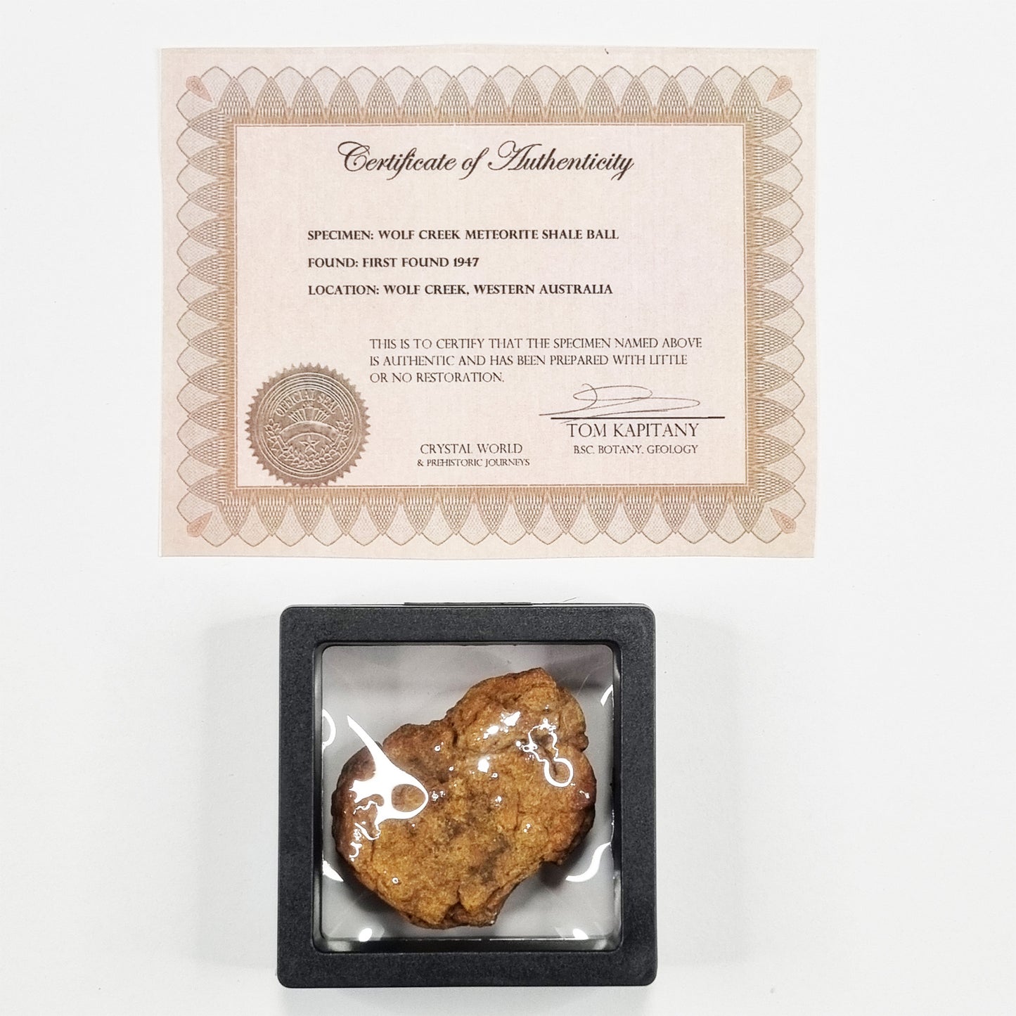 Wolf Creek Shale Ball Meteorite (Western Australia-1947) 66g