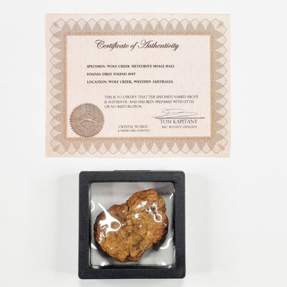 Wolf Creek Shale Ball Meteorite (Western Australia-1947) 66g