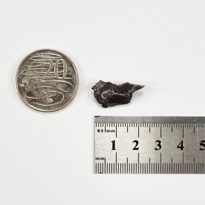 Sikhote-Alin Meteorite (Siberia-1947) 4g