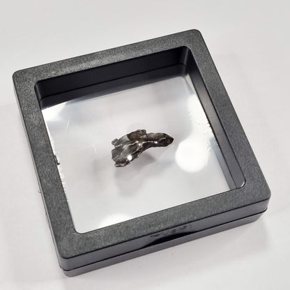 Sikhote-Alin Meteorite (Siberia-1947) 4g