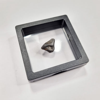 Nantan Meteorite 3-4g Assorted (China- 1516)