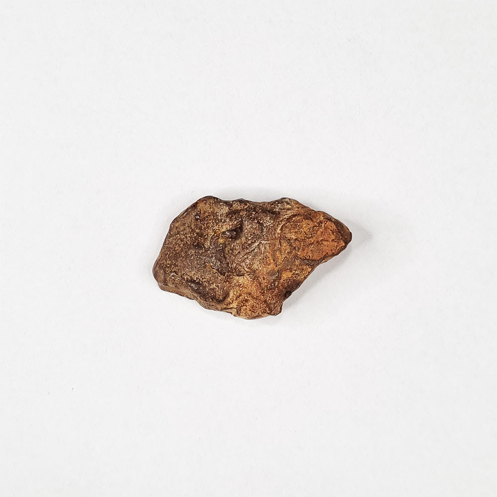 Gebel Kamil Meteorite (Egypt < 5000 Years Old) 28.4g