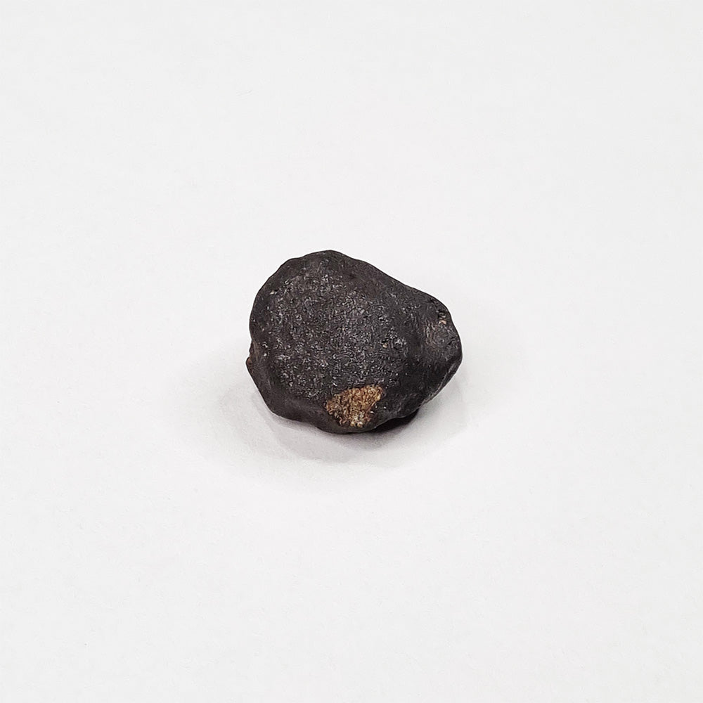Wiluna Meteorite (Western Australia- 1967) 10g