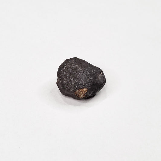 Wiluna Meteorite (Western Australia- 1967) 10g