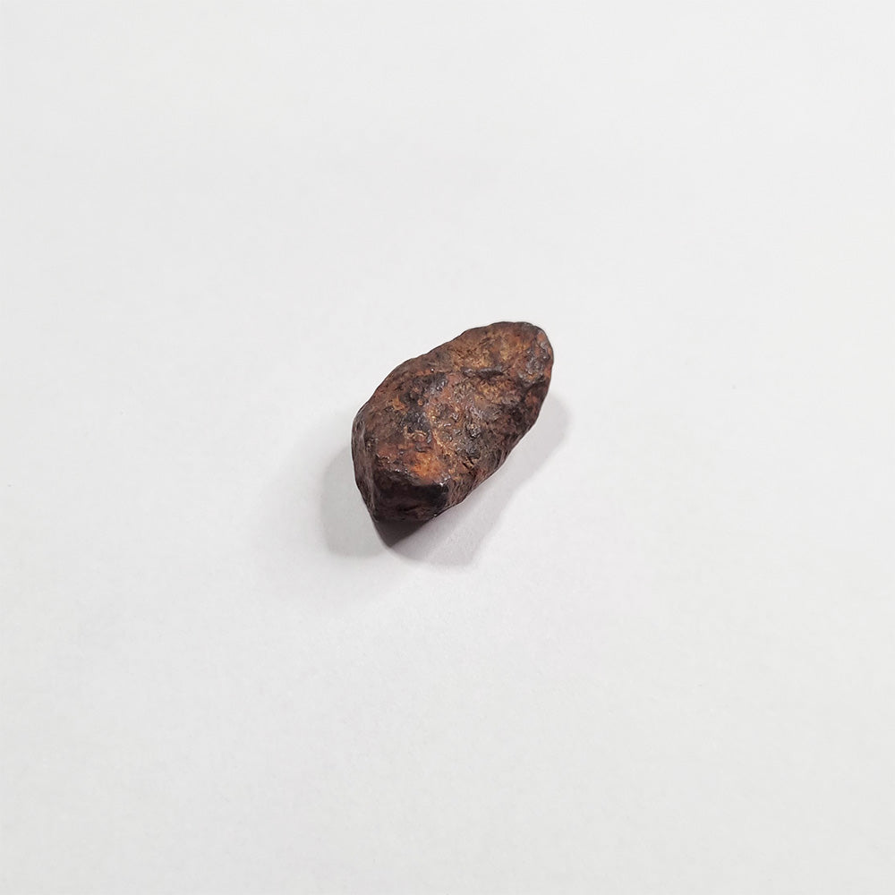Mundrabilla Meteorite (Western Australia-1911) 11g
