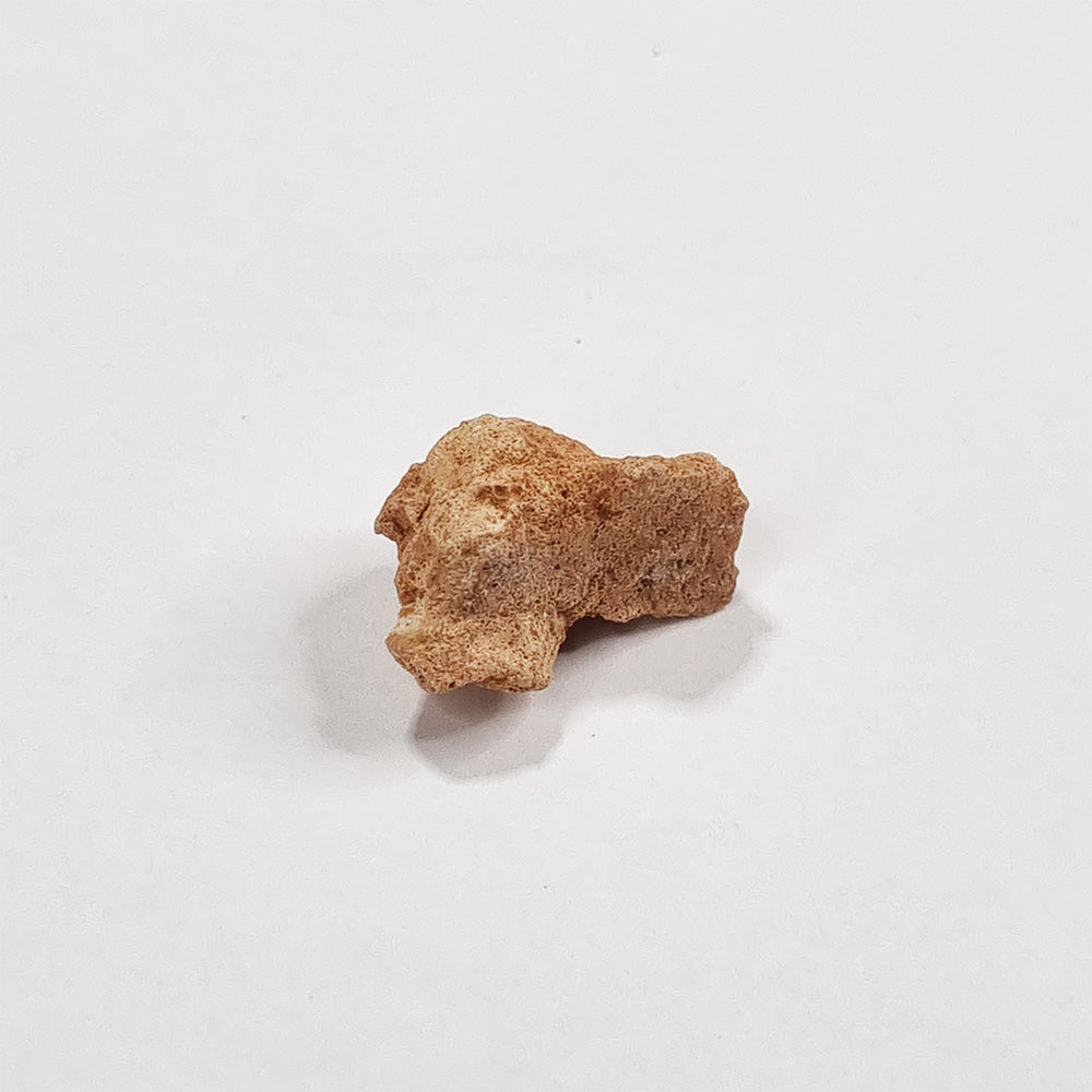 Rare Lunar Meteorite 2g
