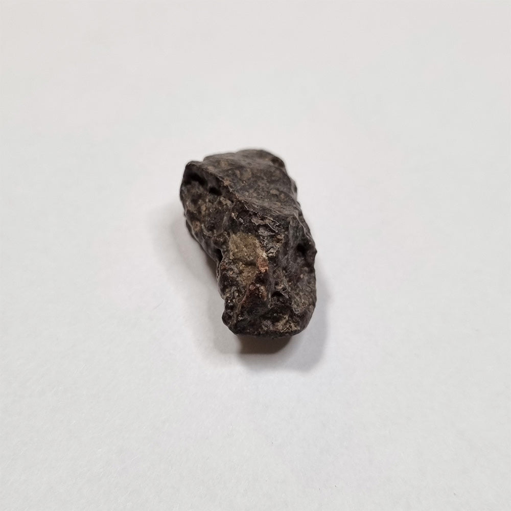 *Rare* NWA Rumuruti Meteorite (North West Africa, 1934) 6g