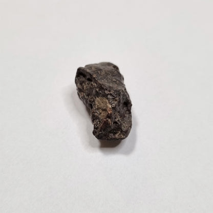 *Rare* NWA Rumuruti Meteorite (North West Africa, 1934) 6g