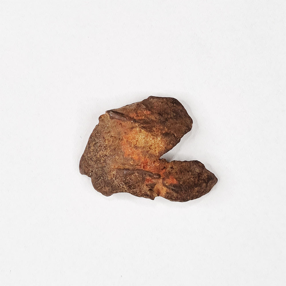 Gebel Kamil Meteorite (Egypt < 5000 Years Old) 26g