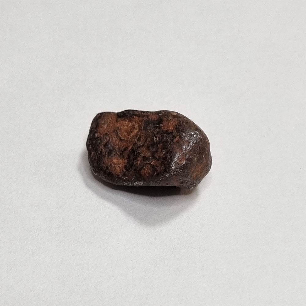 Mundrabilla Meteorite (Western Australia-1911) 9g