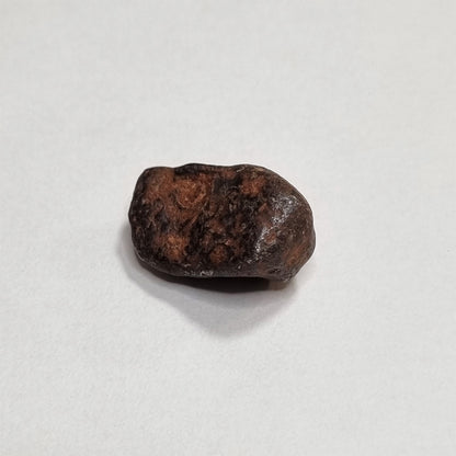 Mundrabilla Meteorite (Western Australia-1911) 9g