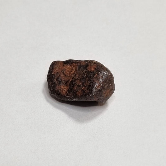 Mundrabilla Meteorite (Western Australia-1911) 9g