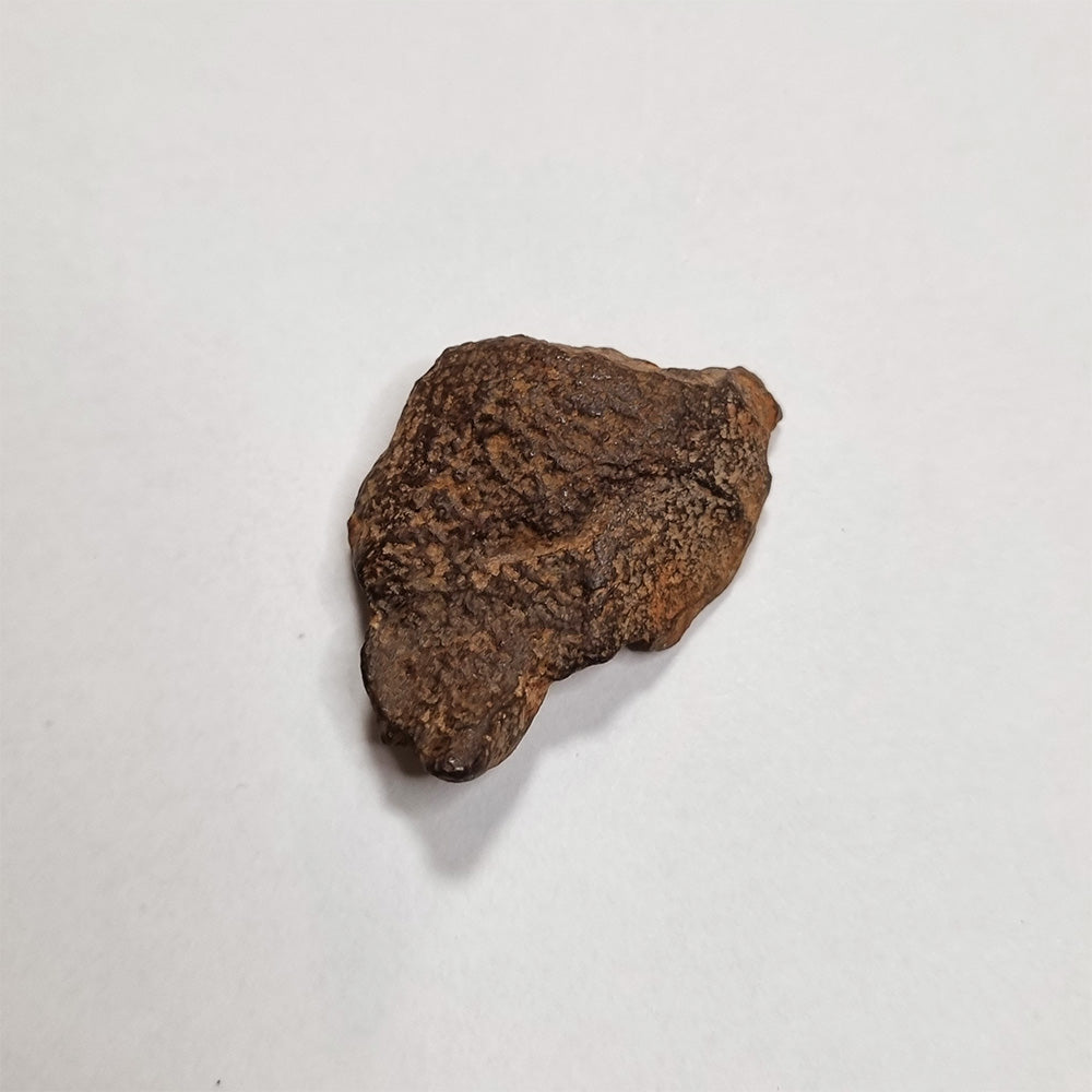 Gebel Kamil Meteorite (Egypt < 5000 Years) 20g