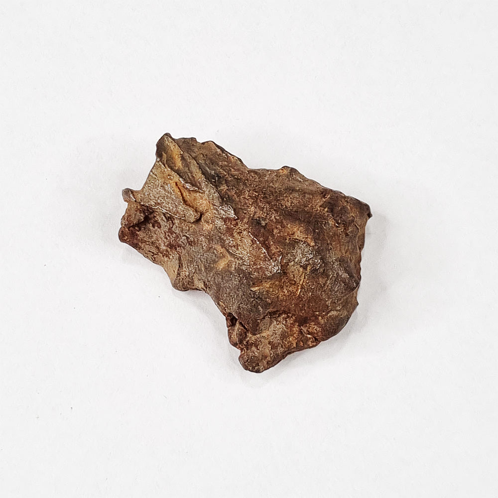 Gebel Kamil Meteorite (Egypt < 5000 Years Old) 39g