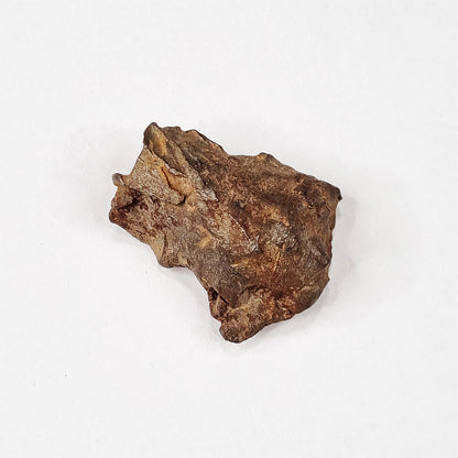 Gebel Kamil Meteorite (Egypt < 5000 Years Old) 39g