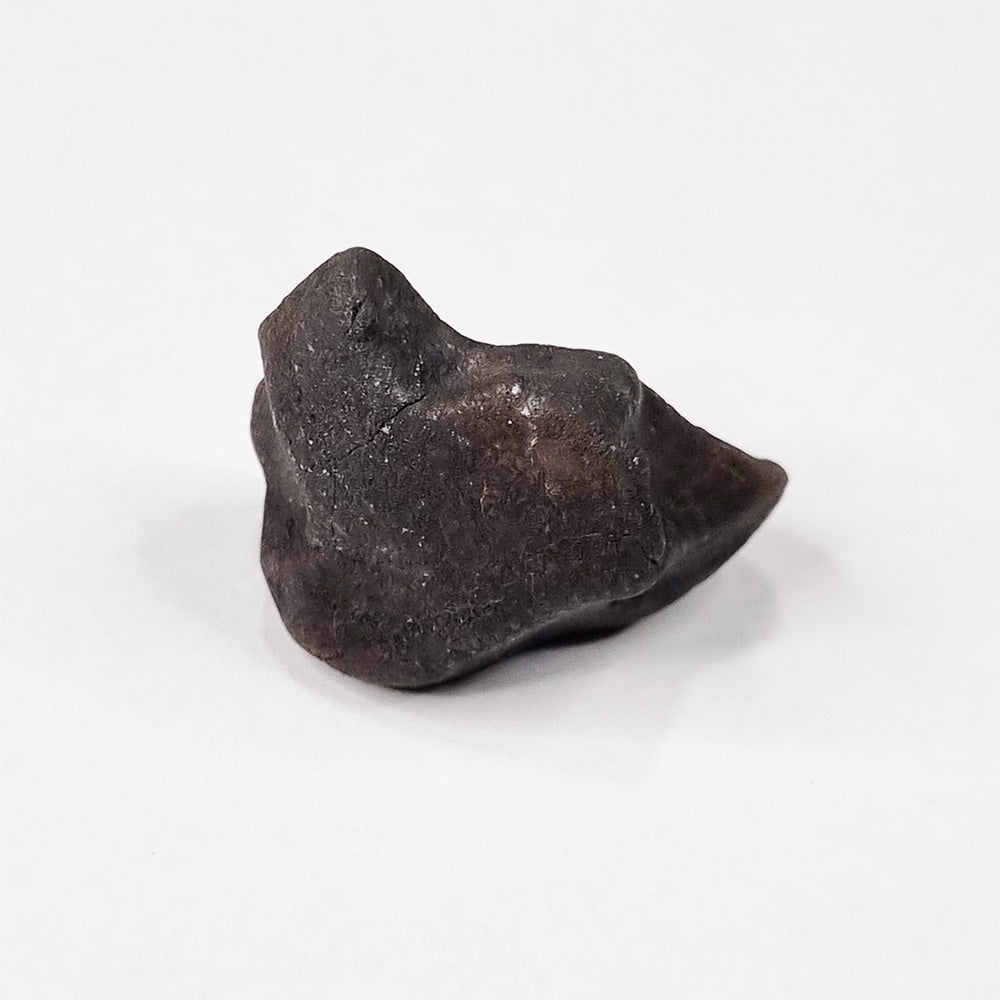 Wiluna Meteorite (Western Australia- 1967) 14.07g