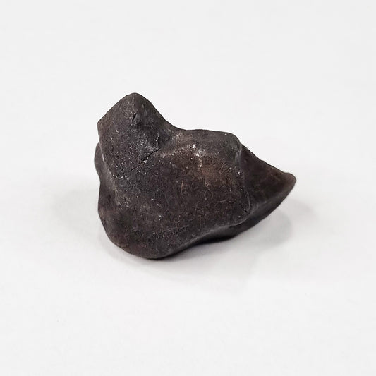 Wiluna Meteorite (Western Australia- 1967) 14.07g