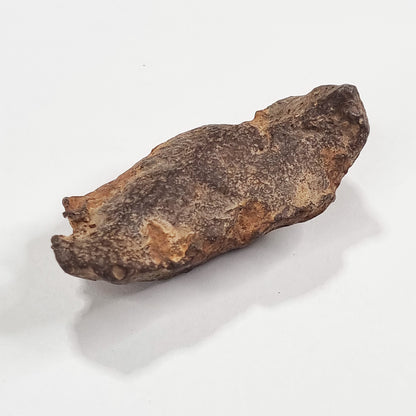 Gebel Kamil Meteorite (Egypt < 5000 Years Old) 61g