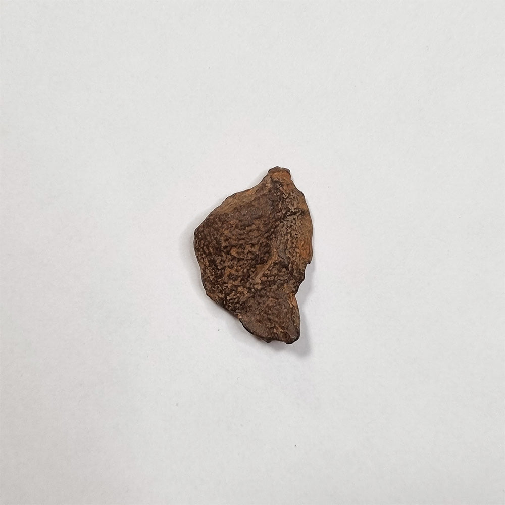 Gebel Kamil Meteorite (Egypt < 5000 Years) 20g