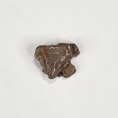 Nantan Meteorite (China- 1516) 6g