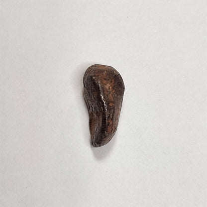 Mundrabilla Meteorite (Western Australia-1911) 9g