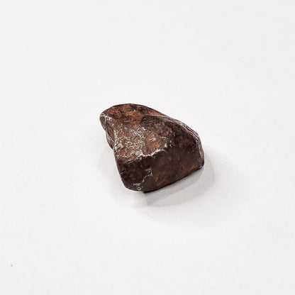Mundrabilla Meteorite (Western Australia-1911) 14g