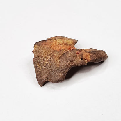 Gebel Kamil Meteorite (Egypt < 5000 Years Old) 26g