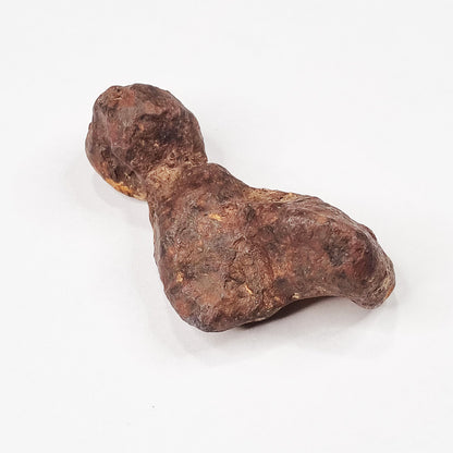 Mundrabilla Meteorite (Western Australia-1911) 82g
