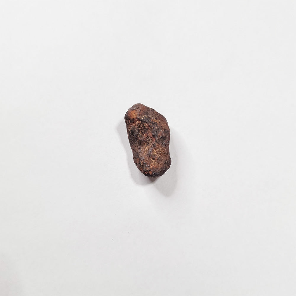 Mundrabilla Meteorite (Western Australia-1911) 11g