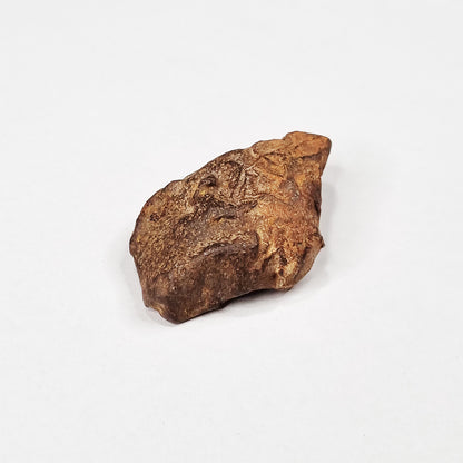 Gebel Kamil Meteorite (Egypt < 5000 Years Old) 28.4g