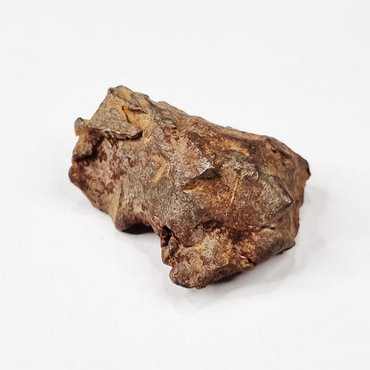 Gebel Kamil Meteorite (Egypt < 5000 Years Old) 39g