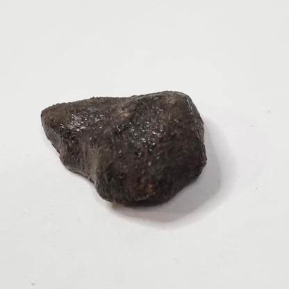 Camel Donga Meteorite (Nullarbor Plain- Western Australia- 1980) 4g