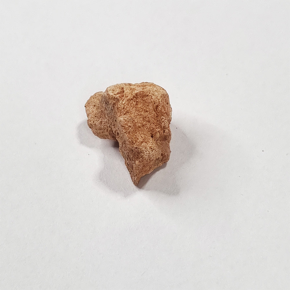 Rare Lunar Meteorite 2g
