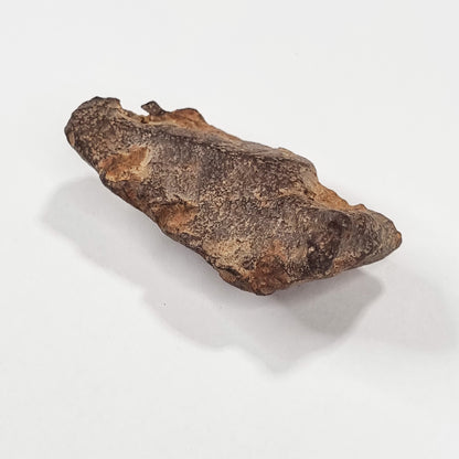 Gebel Kamil Meteorite (Egypt < 5000 Years Old) 61g